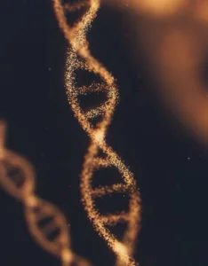 collagen hair growth
